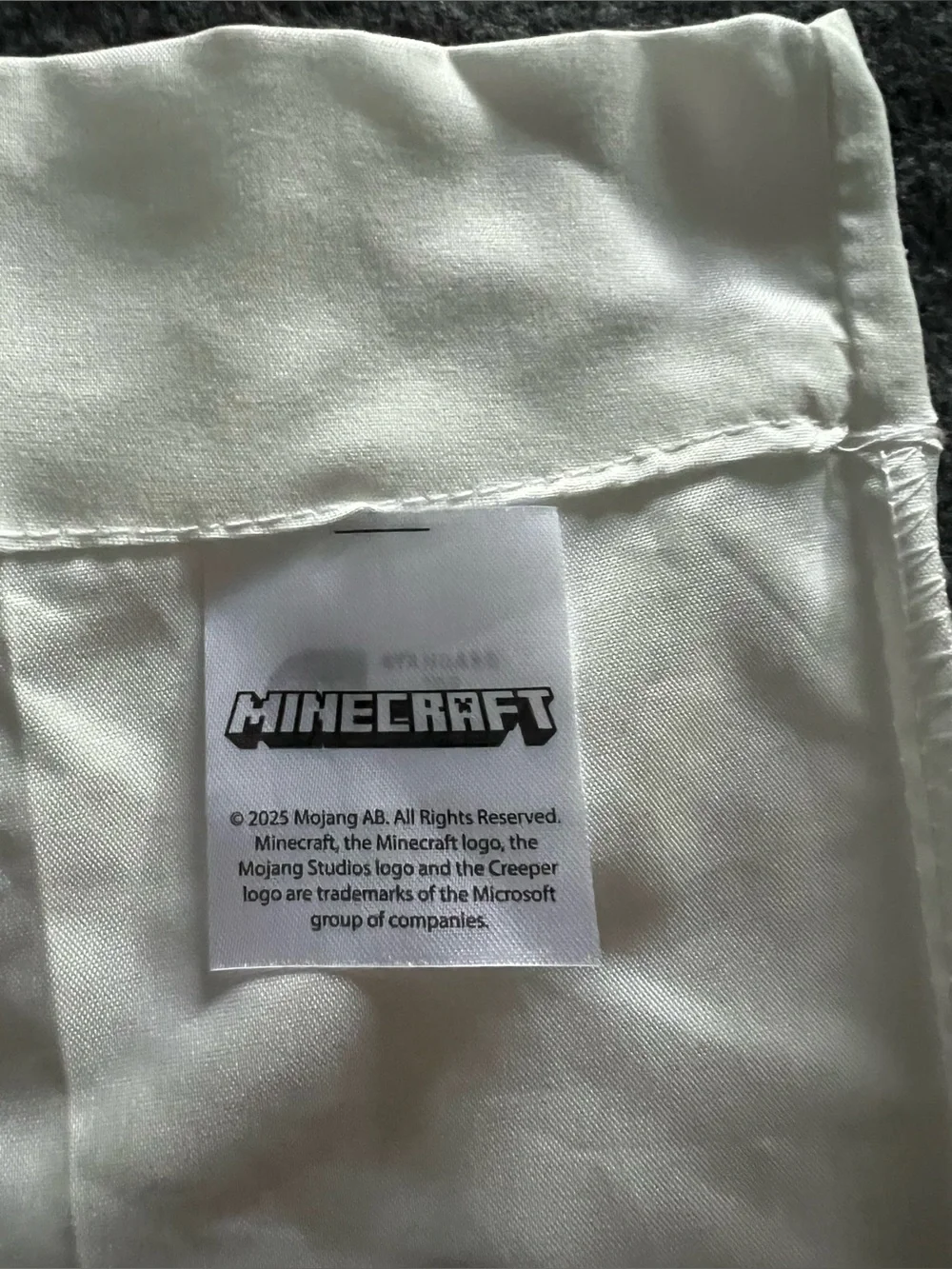 Minecraft nintendo video